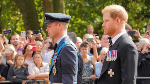 شاهزاده ویلیام و شاهزاده هری در جریان مراسم روز چهارشنبه تابوت ملکه الیزابت دوم را دنبال می کنند.