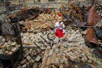 گوترش بر ضرورت صلح تاکید می کند، زیرا اوکراین شش ماه از "جنگ بی معنی" را جشن می گیرد.